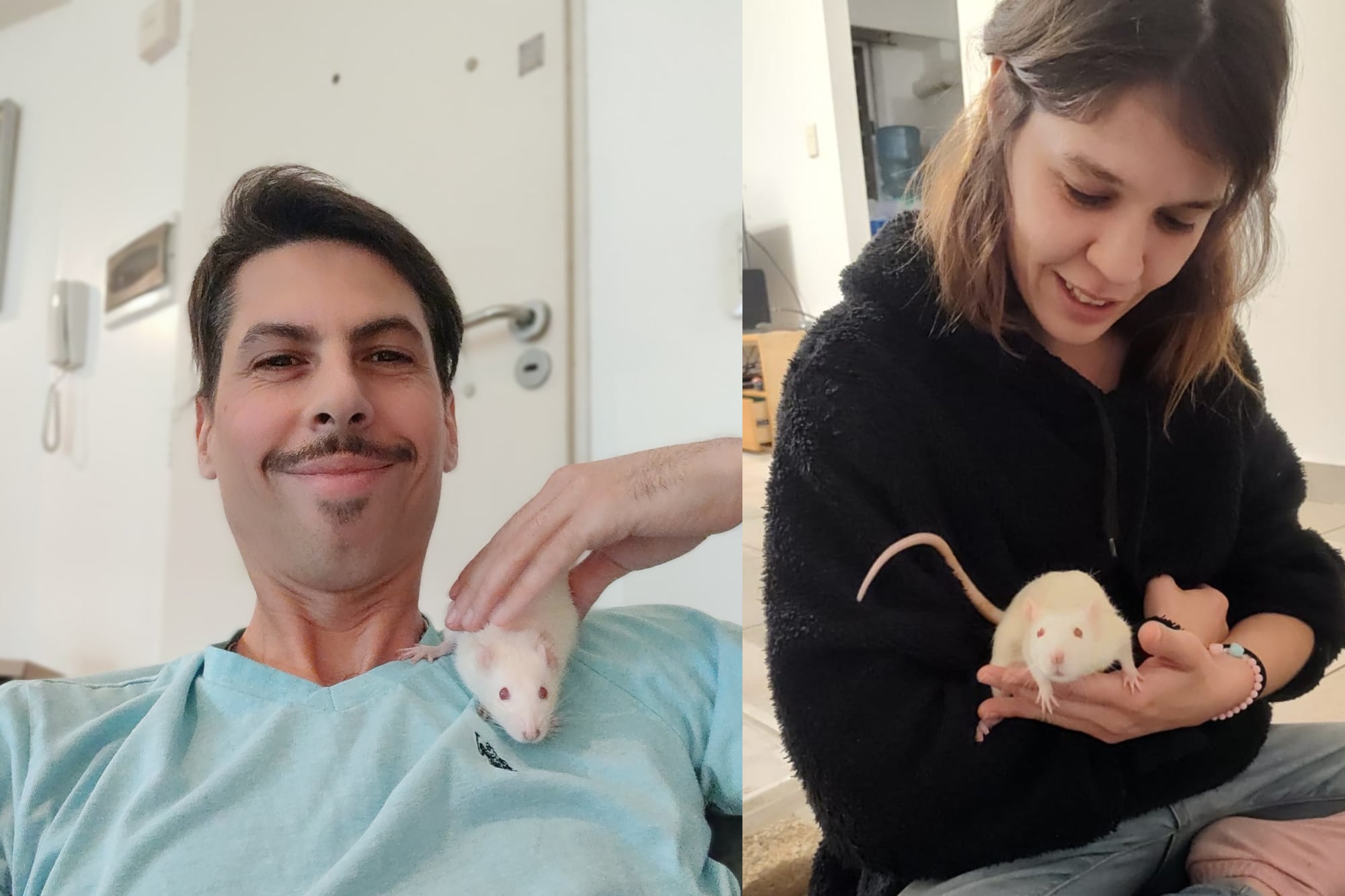 Pepina, Magnolia y Margarita se adaptaron muy bien a su nuevo hogar