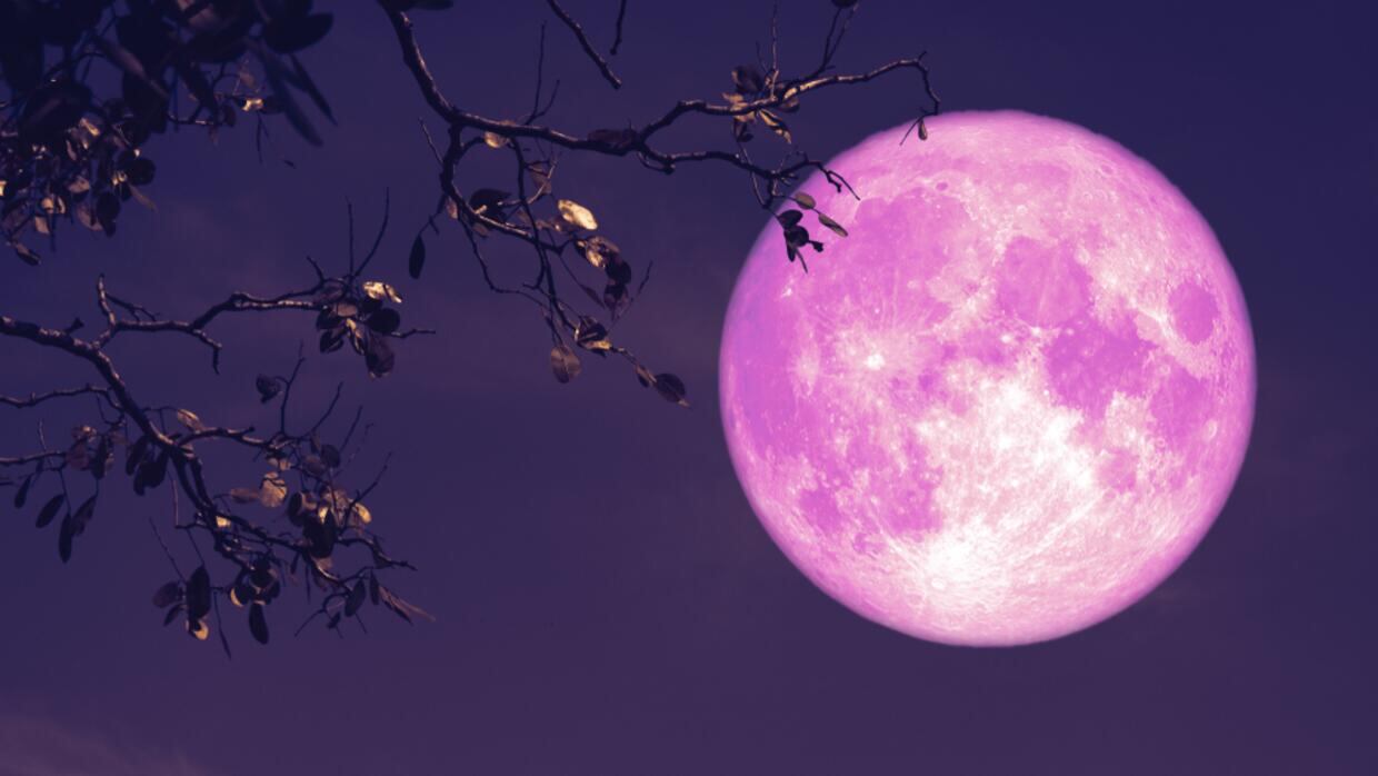 Luna rosa de abril: los rituales ideales para aprovechar su energía