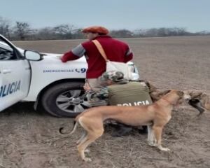 “Tolerancia cero”: un municipio bonaerense avanza contra cazadores y ya secuestra los perros galgos