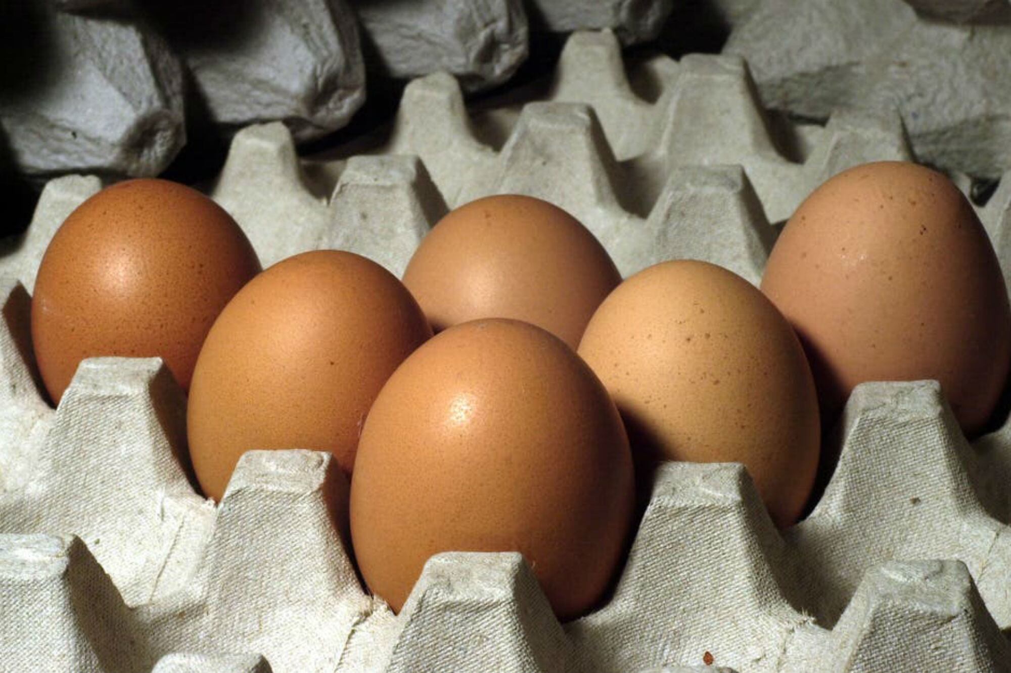Los maples de huevos permiten crear figuras y pintarlas