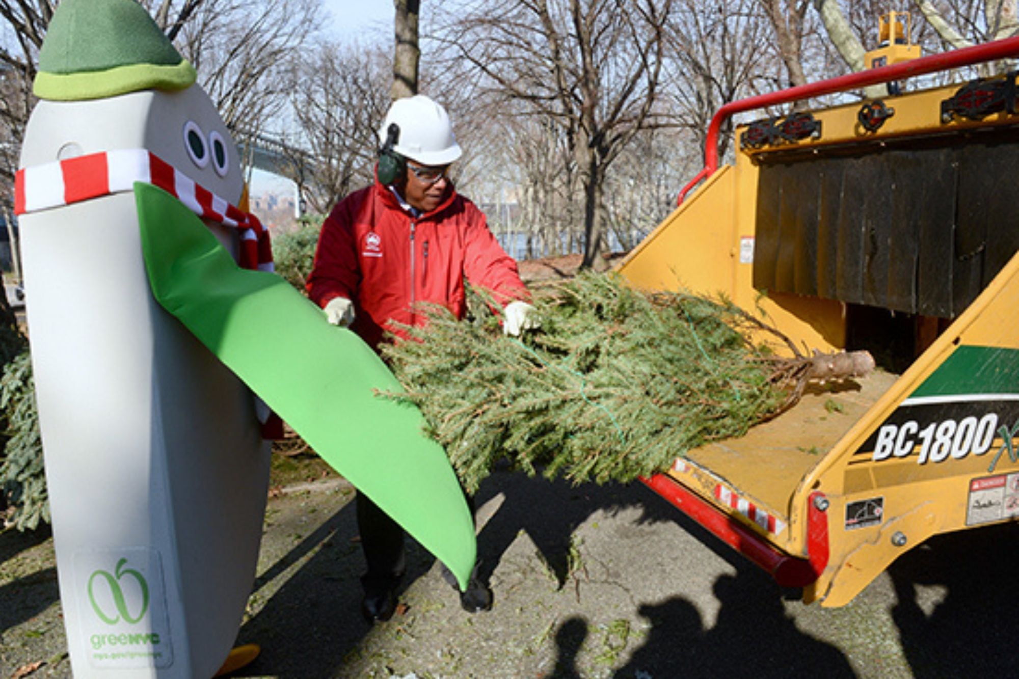 Adiós a los árboles de Navidad: cuándo y dónde será el festival Mulchfest 2026 de Nueva York
