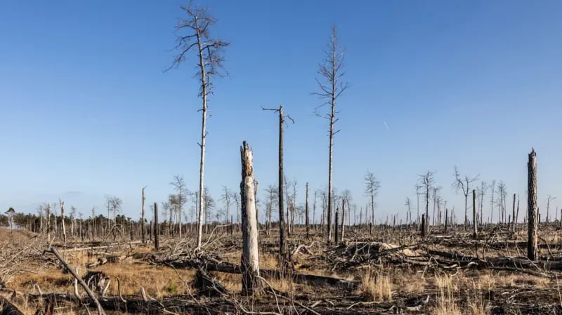 ¿Cómo ha cambiado la Tierra en 58 años?: lo que revela la comparación entre las icónicas fotos de nuestro planeta del Apolo 8 y de Artemis II 8 La actividad humana ha modificado visiblemente a nuestro planeta