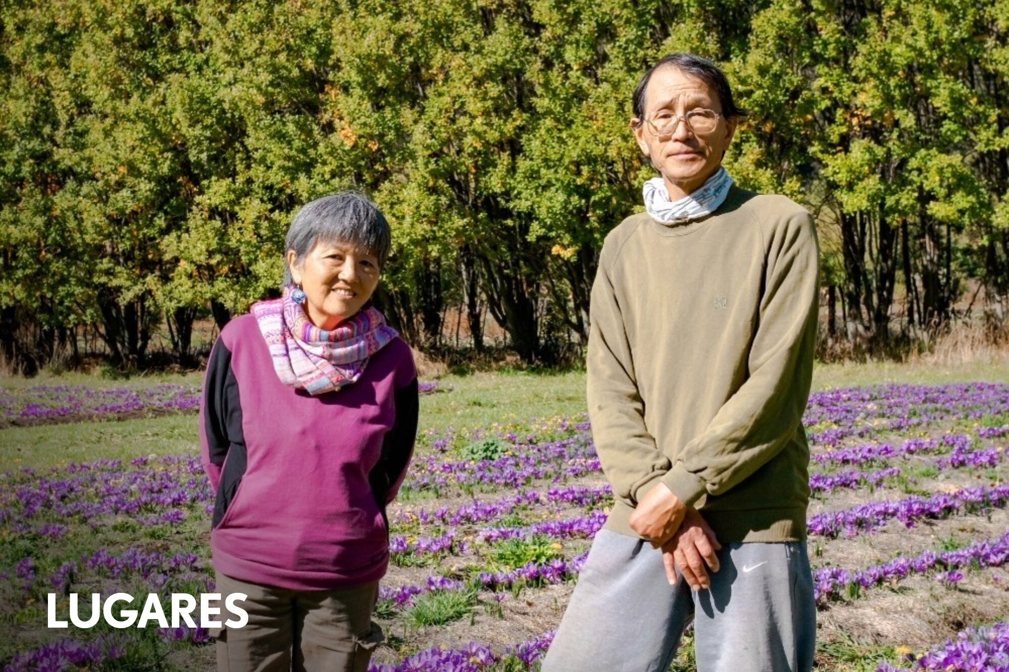 La pareja de origen japonés que cultiva una de las especias más caras del mundo