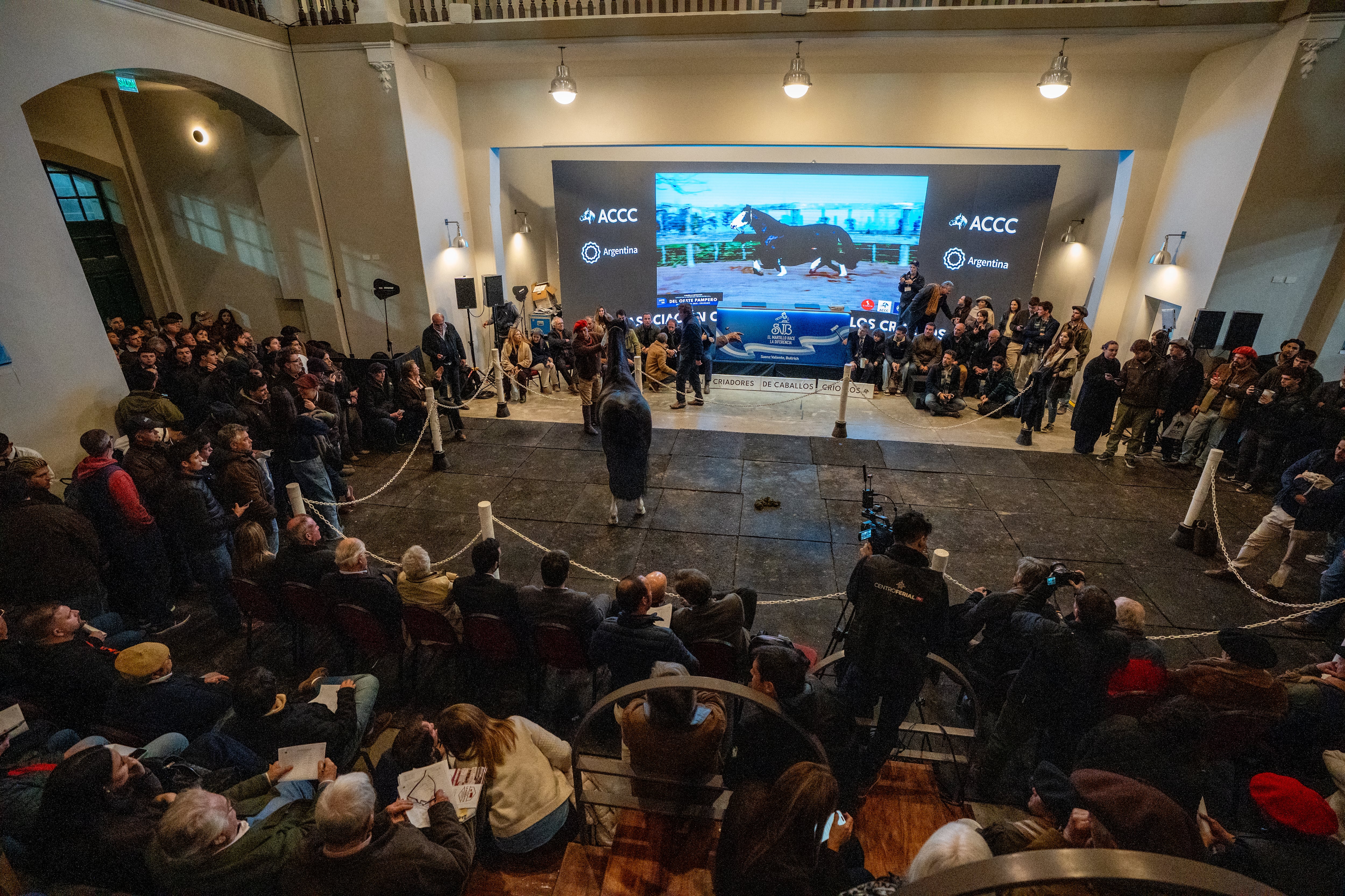 La Sala de Ventas del predio de Palermo a pleno en el remate de la raza Criolla