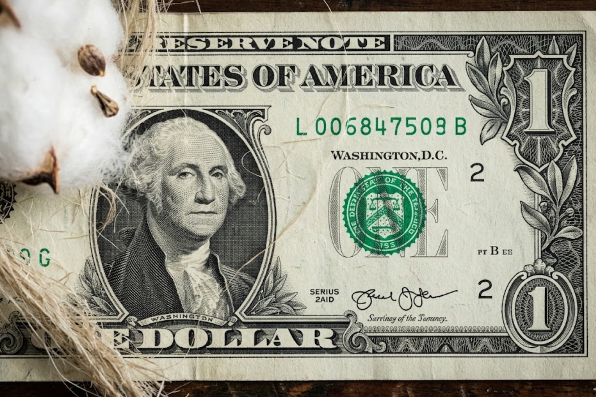 Los dólares de EE.UU. no son de papel común: están hechos de algodón de Texas y pocos lo saben