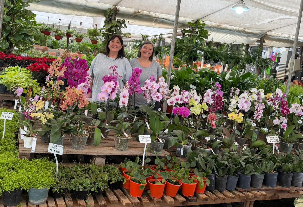 Margarita e Iris Hisaki