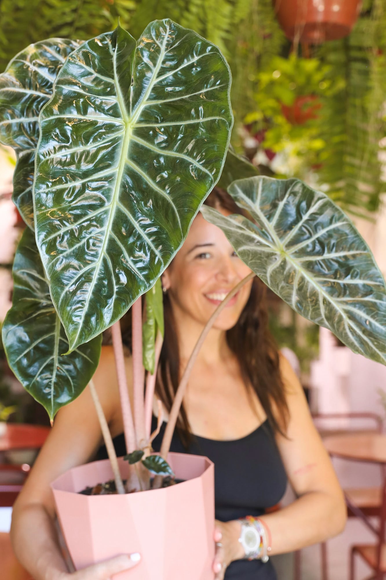 Luciana, dueña del lugar, con una Alocasia 'Pink Dragon'