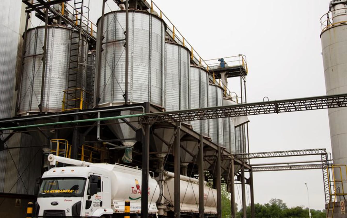 En crisis: Granja Tres Arroyos, la mayor avícola del país, perdió el 60% de sus productores