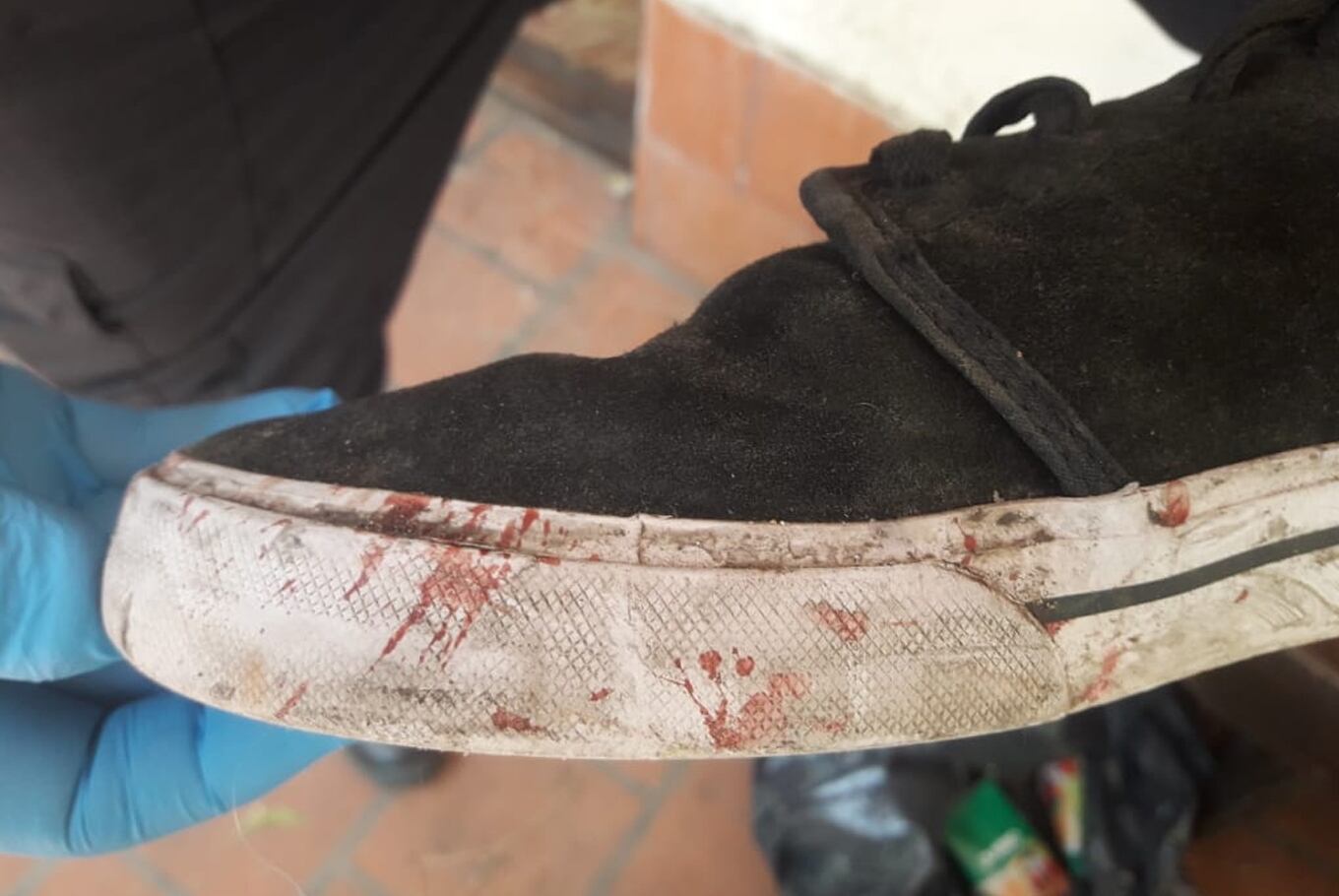 Crimen de Fernando Báez Sosa: la marca de la zapatilla en la cara de la víctima es de Máximo Thomsen