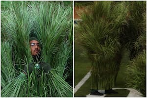 Cuánto ganaron las “personas-planta” que estuvieron 70 horas disfrazadas para el Super Bowl