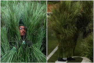 Cuánto ganaron las “personas-planta” que estuvieron 70 horas disfrazadas para el Super Bowl