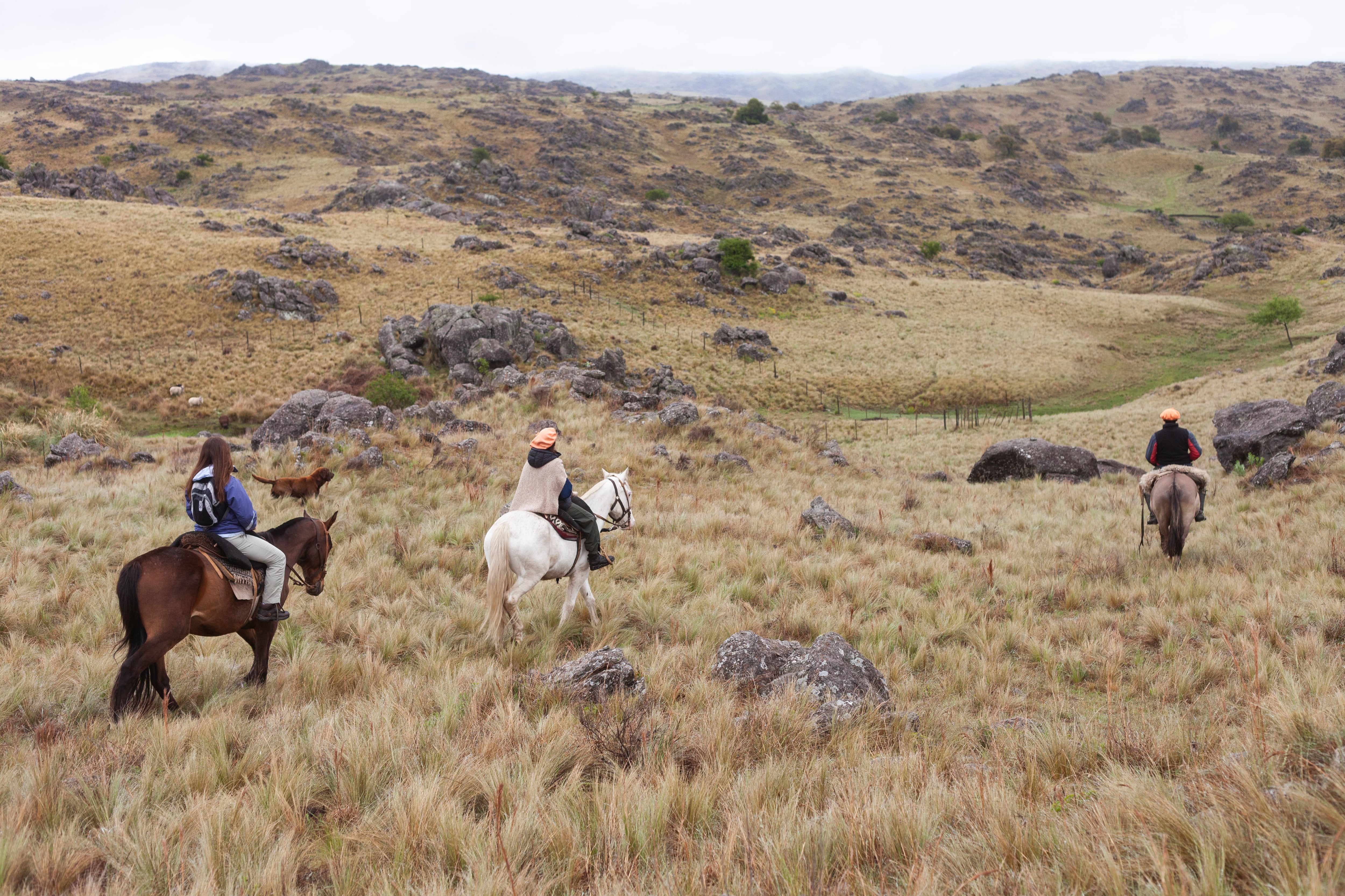 Las cabalgatas a campo traviesa son la especialidad de Carahuasi. Avanzan por diferentes zonas de la estancia y llegan hasta sitios que son una joyita y se disfrutan en exclusivo