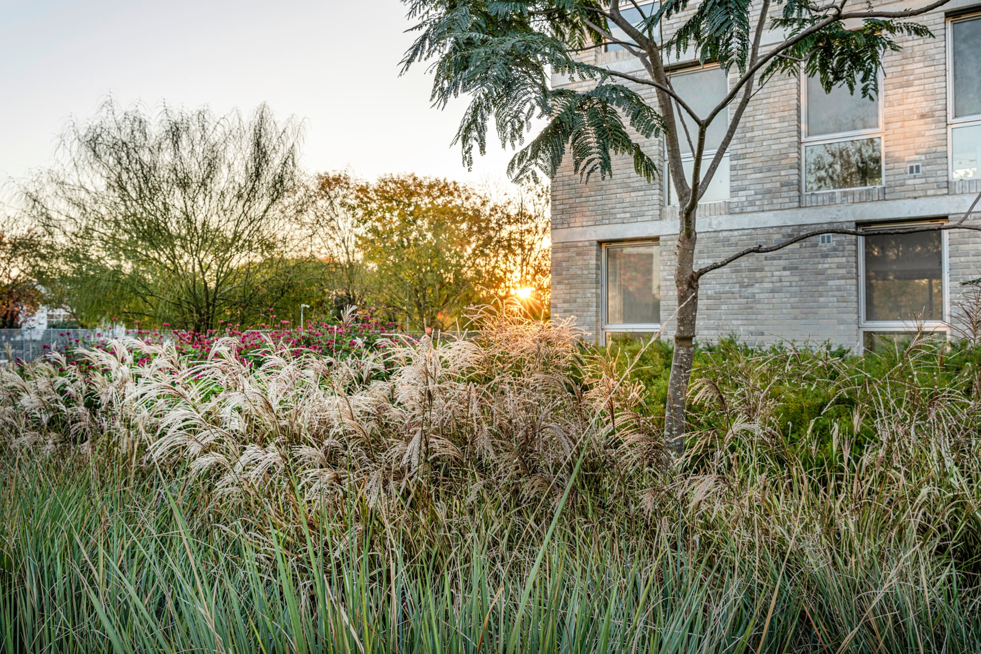 En otoño, el jardín cambia de registro y adopta una paleta más profunda y terrosa