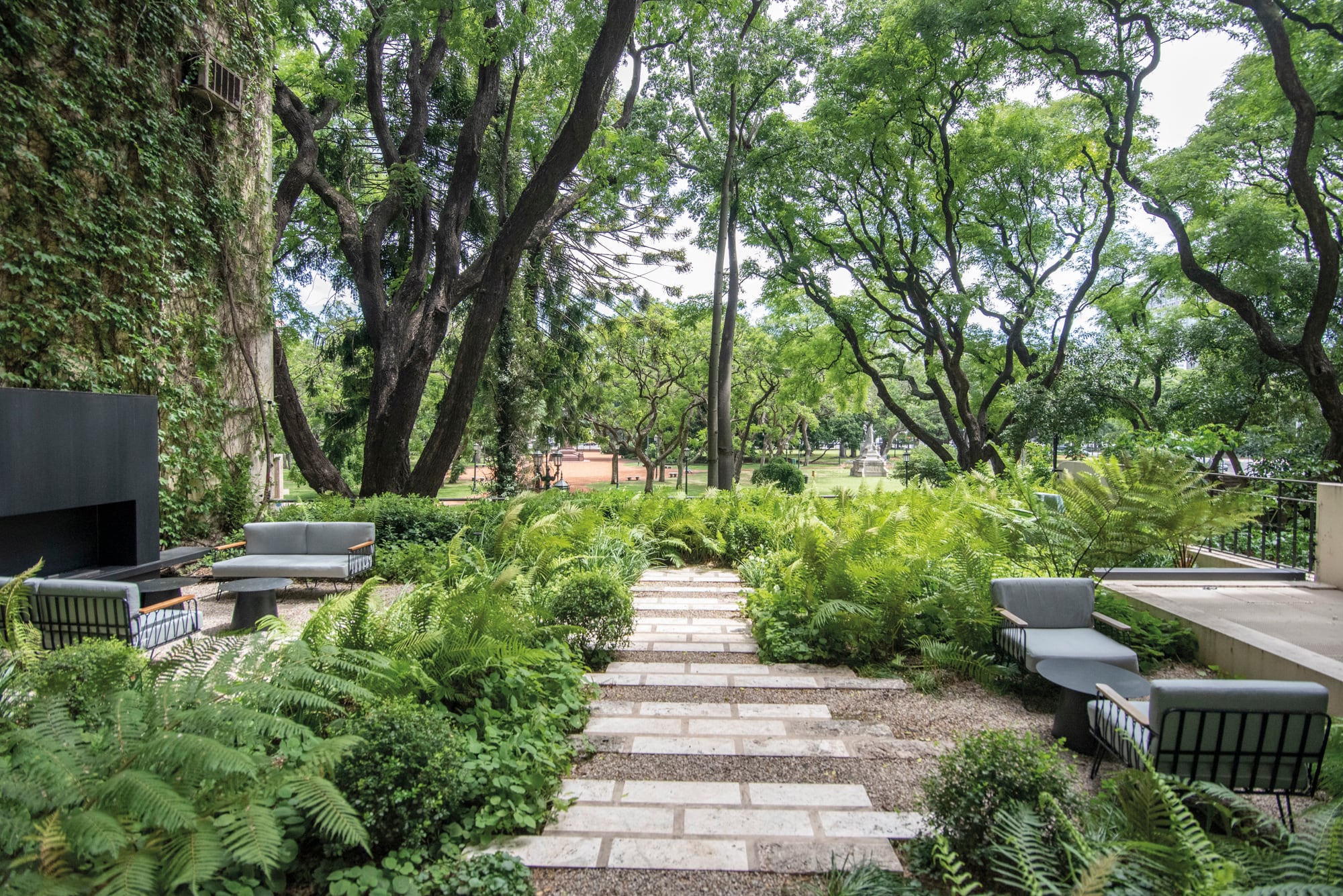Tomar los árboles de la vereda