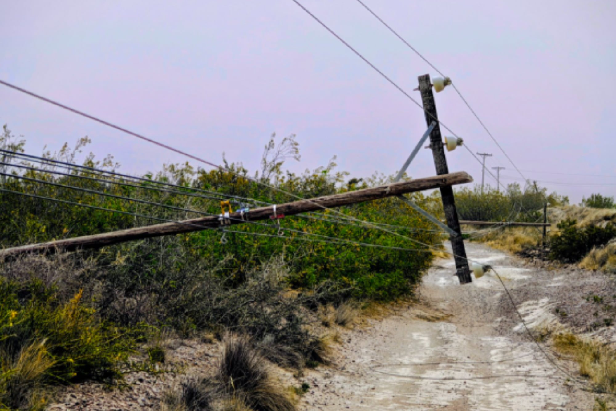 Por los vientos extremos, hay aleta naranja y se suspenden las clases en Puerto Madryn