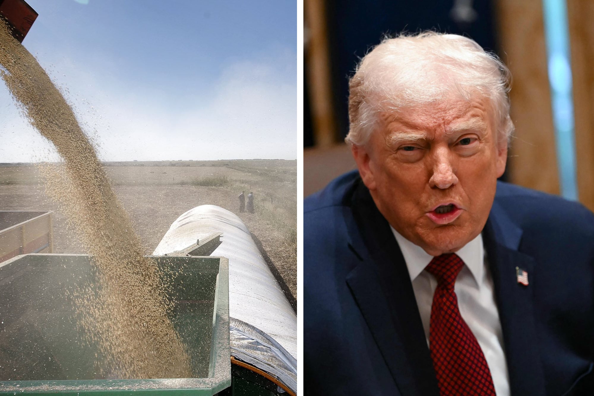 Millonario anuncio de Trump: los expertos marcaron un fuerte contraste entre la política agrícola de Estados Unidos y la Argentina