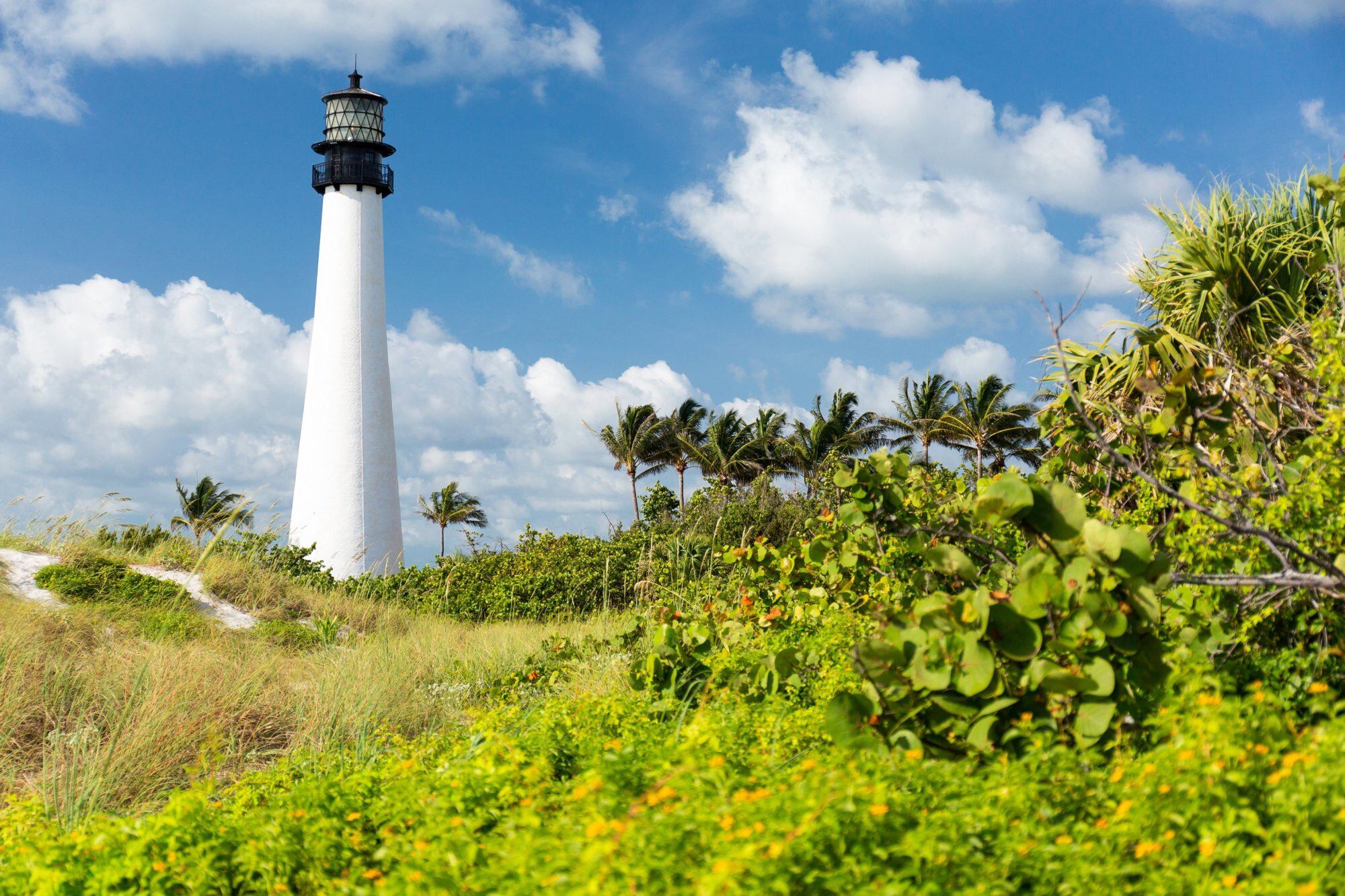Eb el Big Baggs Cape Florida Park se ofrecen programas de conservación ambiental