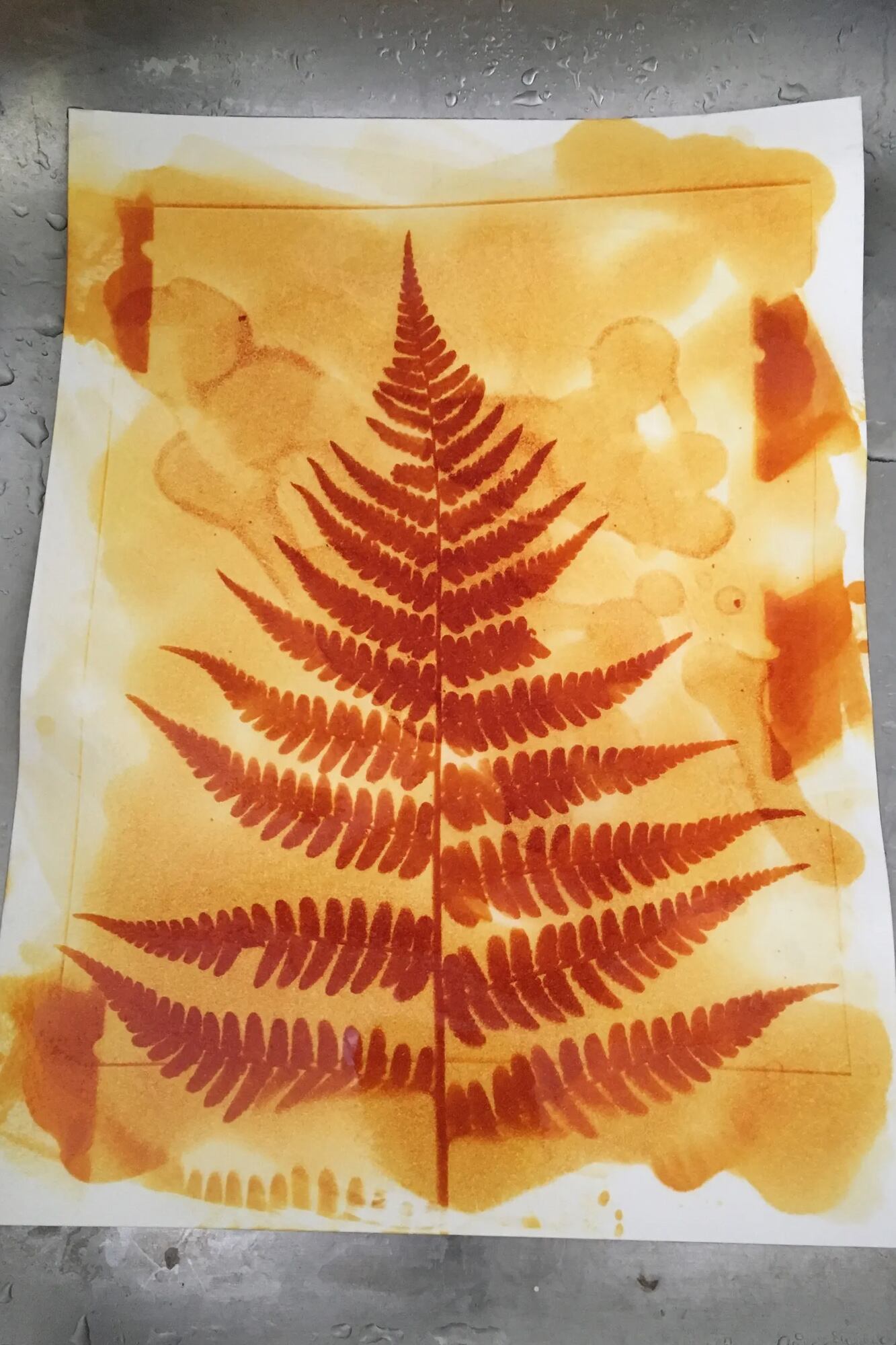 La antotipia recupera un procedimiento fotográfico del siglo XIX que utiliza pigmentos vegetales sensibles a la luz