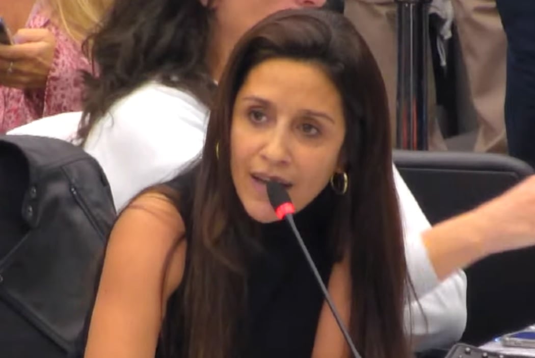 La diputada Agustina Propato comparó la Ley de Bases con una “violación en manada”