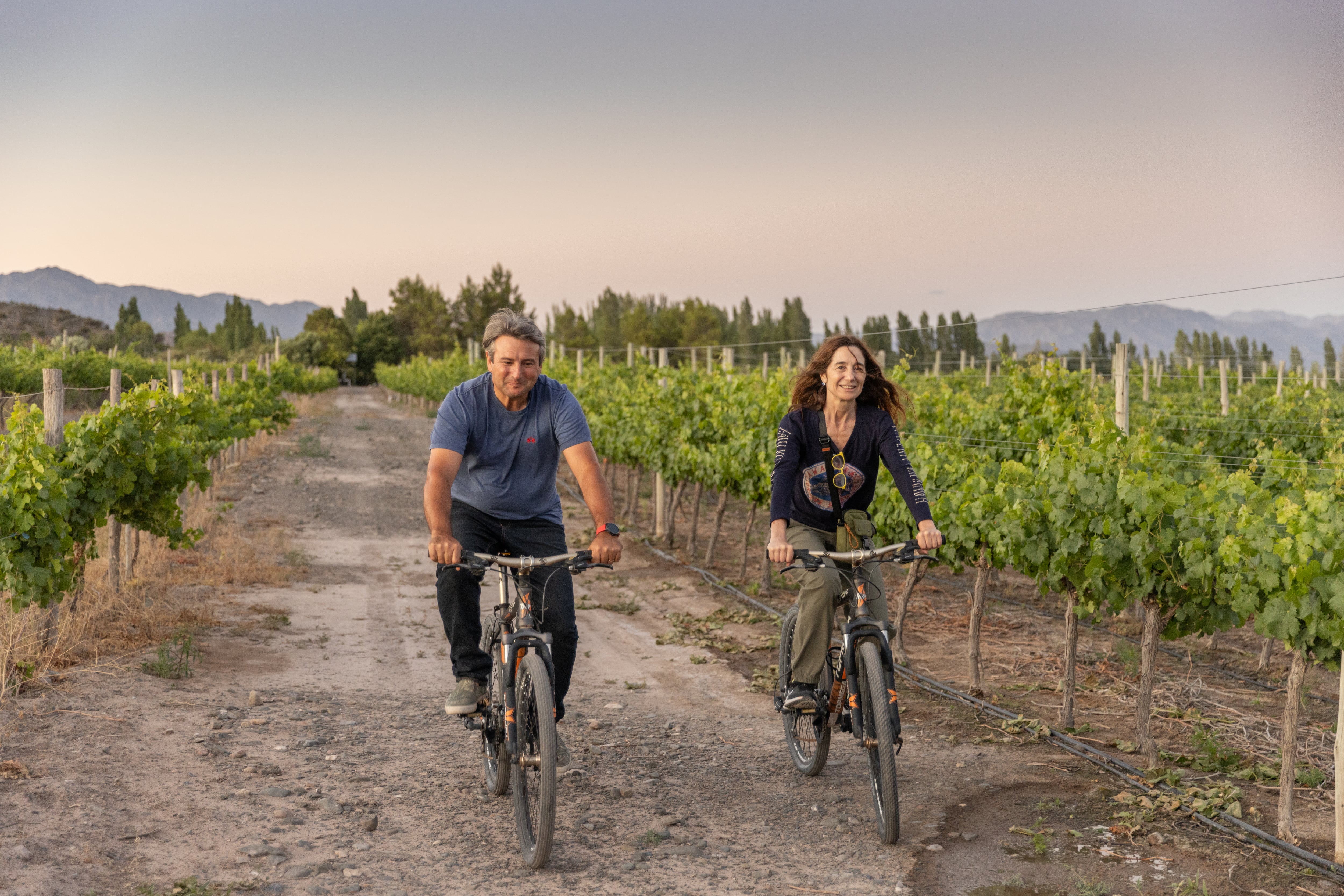 En bicicleta por el viñedo.