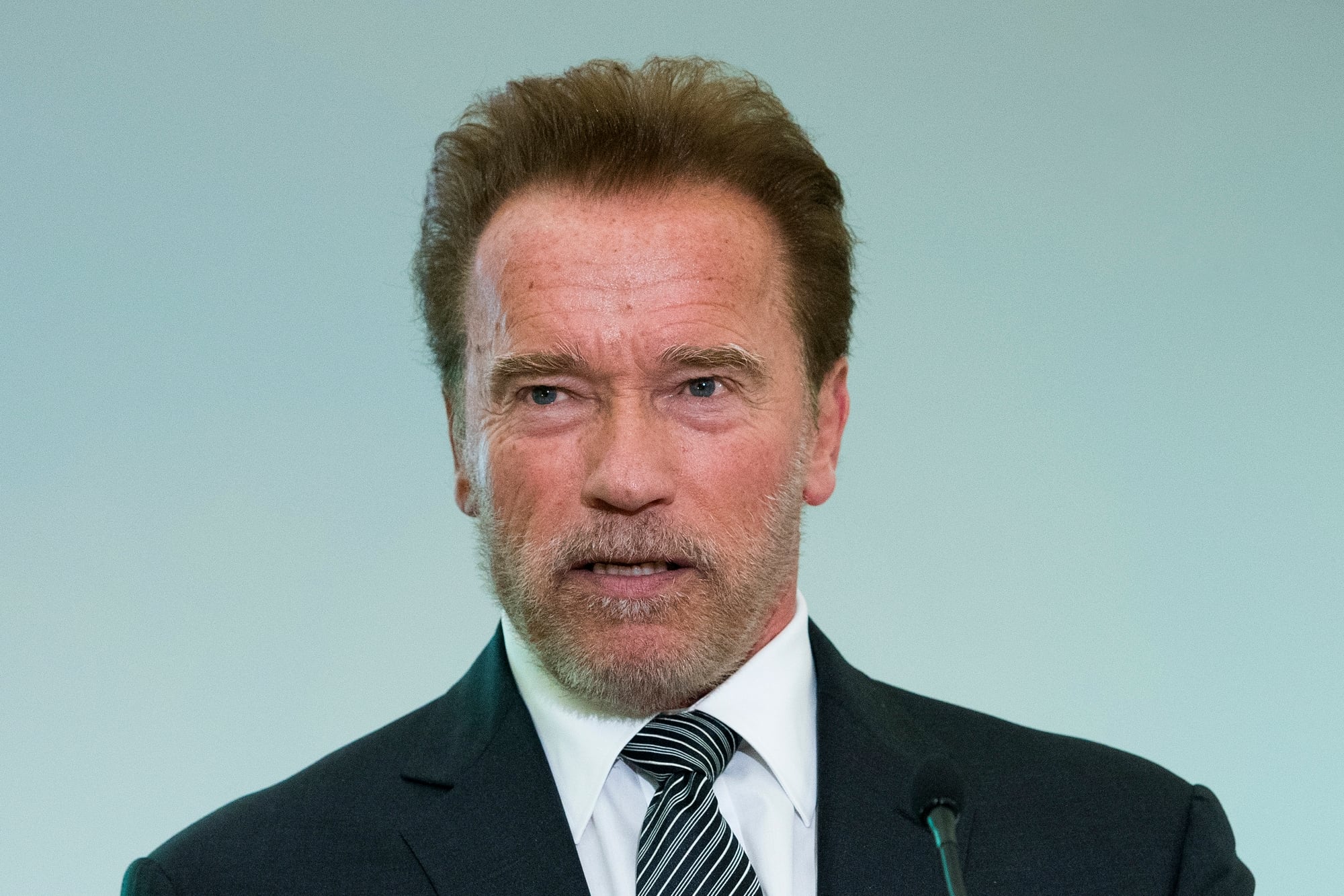 Arnold Schwarzenegger insistió con expandir las instalaciones nucleares en California para alcanzar los objetivos de emisiones para 2030