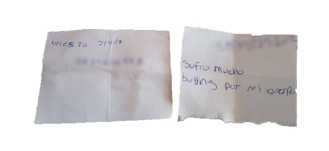 Pedidos de ayuda. Dos de los mensajes que Luana recibe después de cada charla. Como en la mayoría de los casos, los adolescentes le dejan su número de teléfono (blureado para preservar su privacidad) para que los contacte
