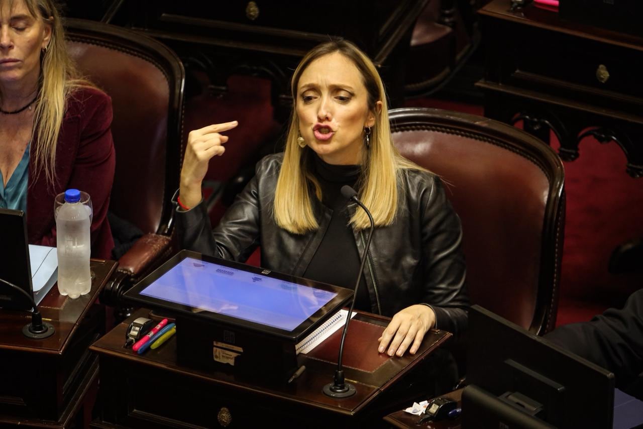 La senadora Anabel Fernández Sagasti (Unión por la Patria) durante una sesión en la Cámara Alta