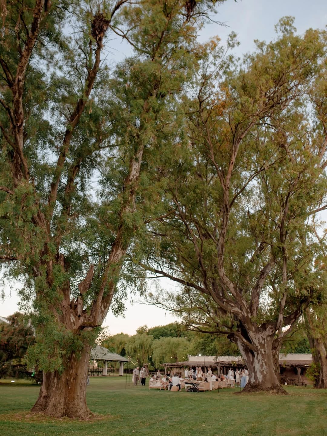 Para el almuerzo había mesas decoradas con arreglos florales y livings, ubicados bajo la sombra de los árboles