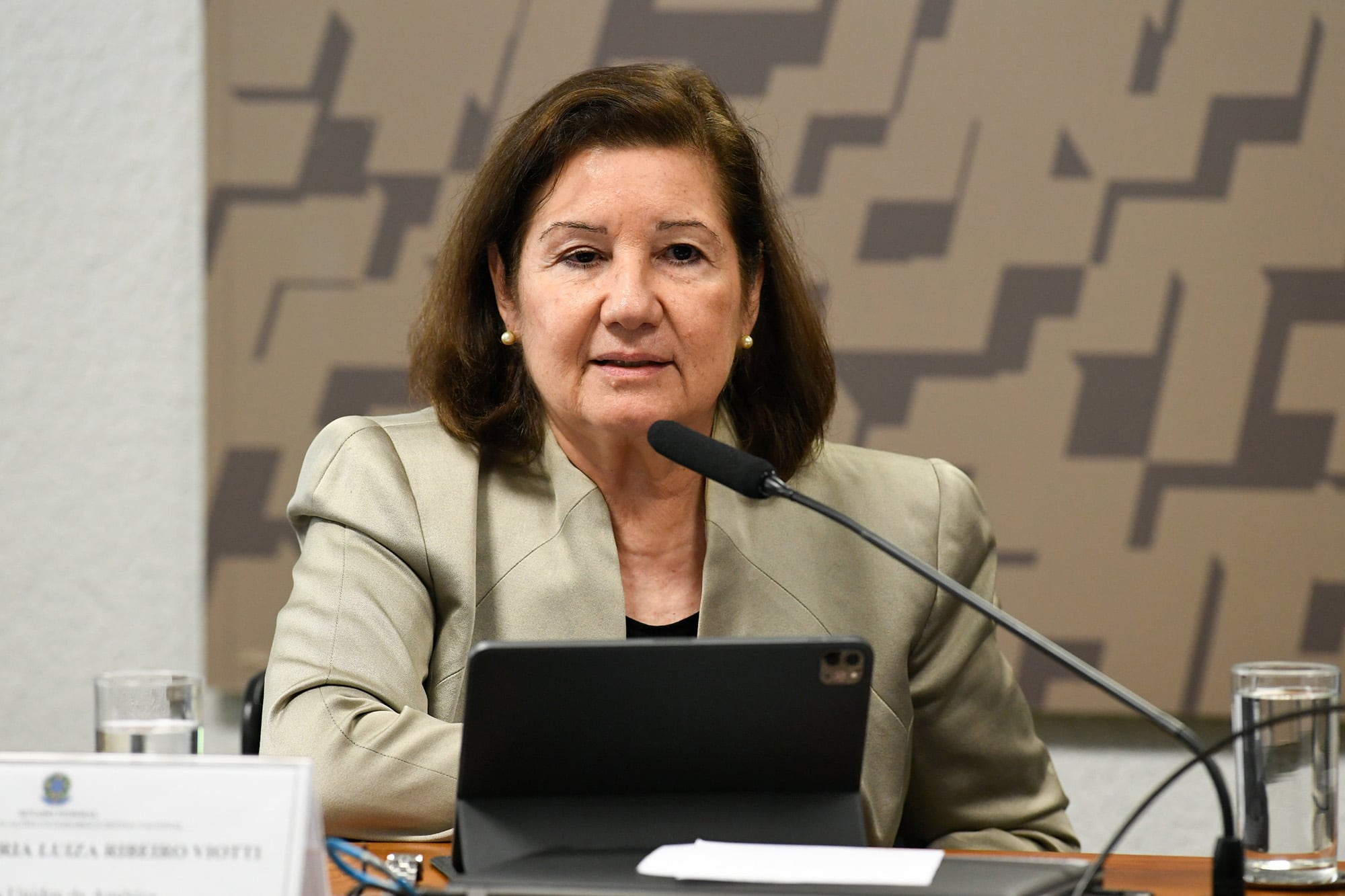 Maria Luiza Ribeiro Viotti, Embajadora de Brasil en EE UU