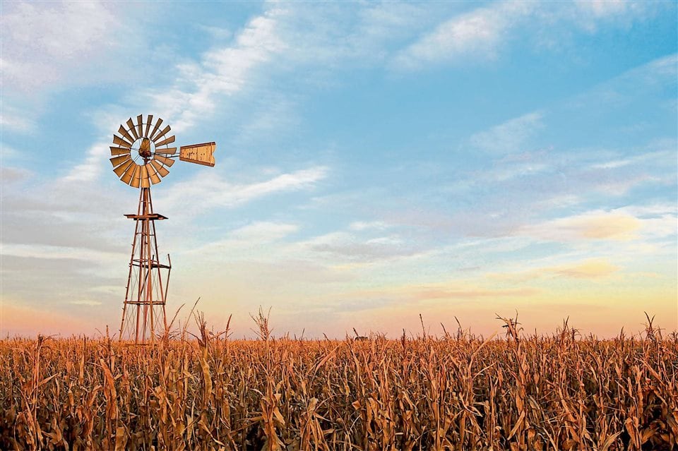 Estructuración de empresas agropecuarias: tres opciones para considerar antes de tomar una decisión correcta