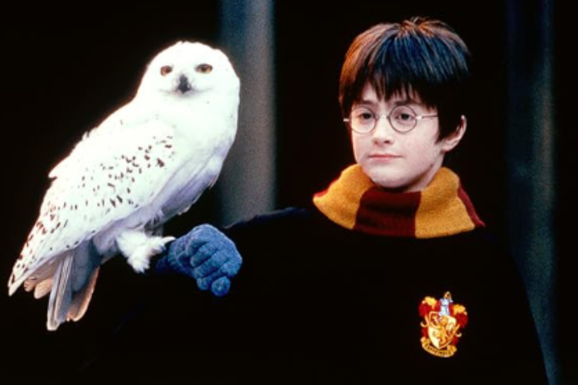 A los 11 años, el actor se puso por primera vez en la piel de Harry Potter