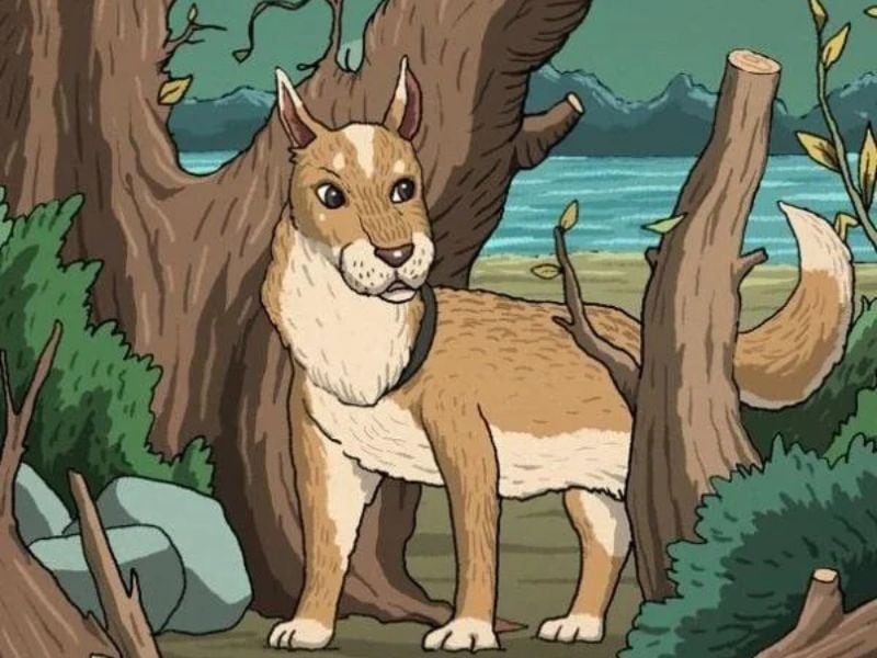 Desafío viral: encontrá en menos de un minuto el gato escondido en este dibujo