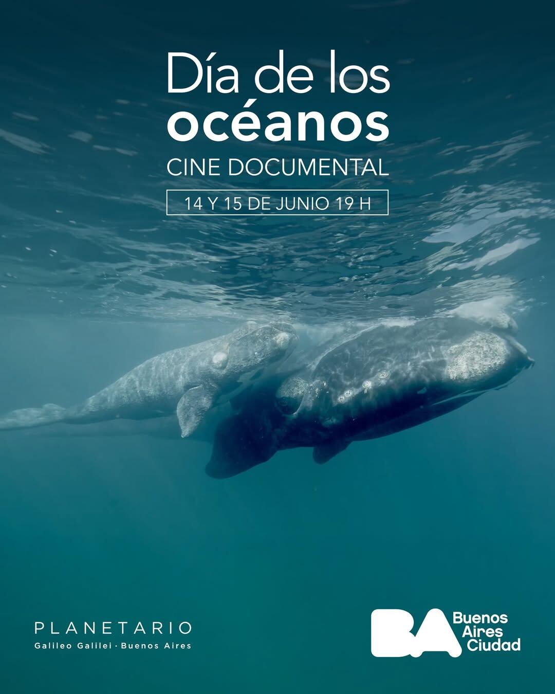 Día de los océanos: el documental especial en el Planetario