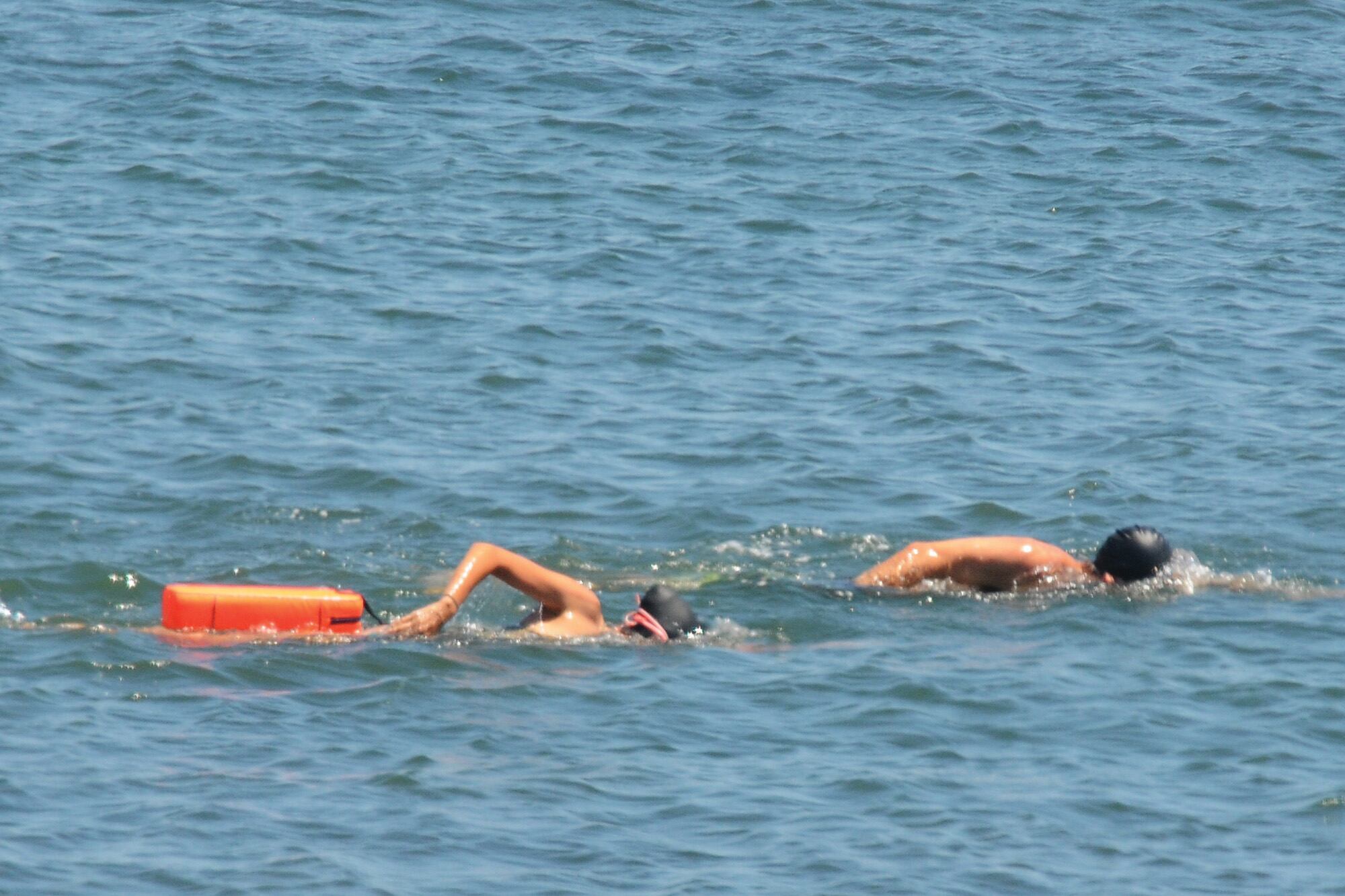 Calu y Aíto, nadando con destreza en la Mansa de José Ignacio