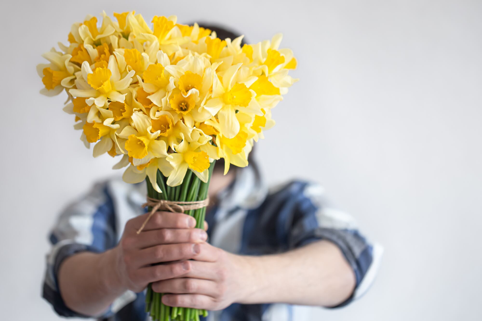 Las flores son de los regalos más usuales en el Día de la Primavera
(Foto de carácter ilustrativo: Freepik)