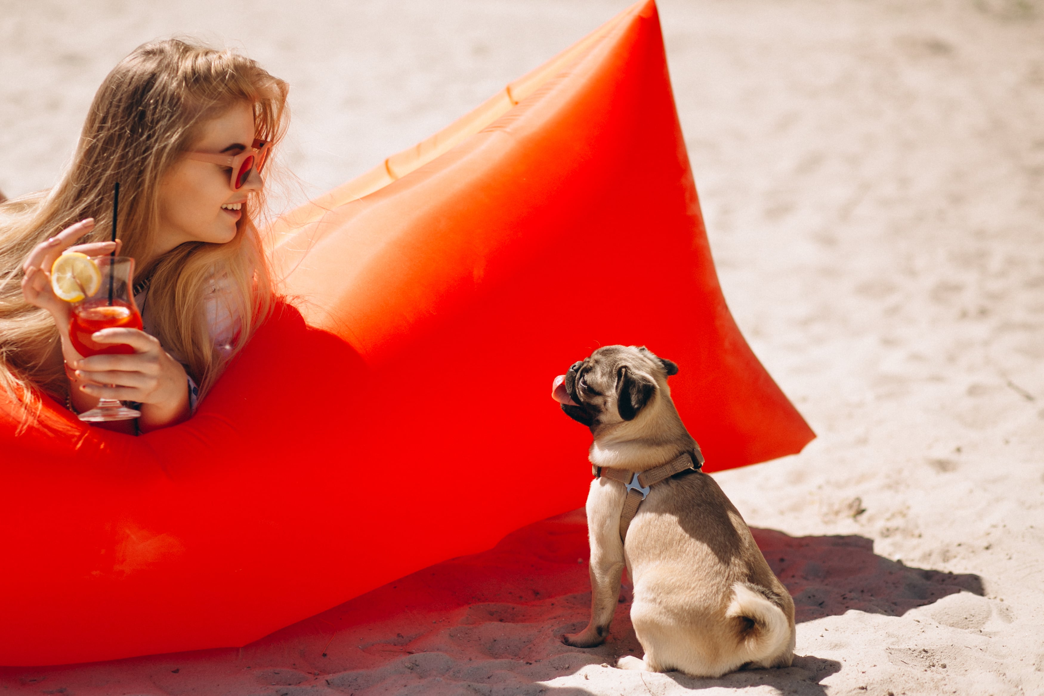 Aquellos dueños que lleven a sus mascotas de vacaciones deben tener en cuenta los cuidados para evitar que sus animales sufran golpes de calor