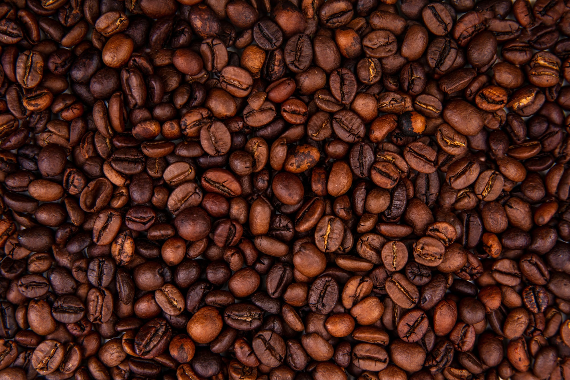 Los autores destacaron propiedades antioxidantes y antiinflamatorias presentes en el café