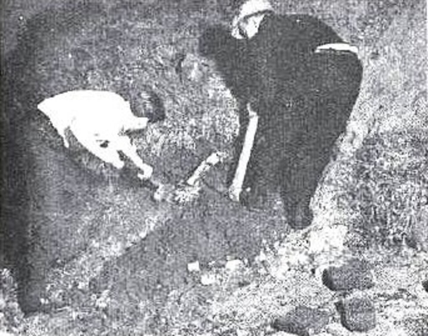 Las excavaciones hechas luego de la estafa de Scardulla