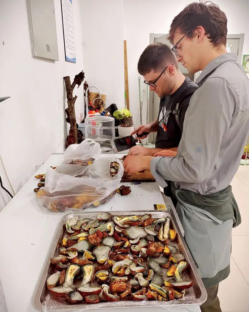 Domnauer y sus colegas todavía están intentando identificar el compuesto psicodélico presente en L. asiatica