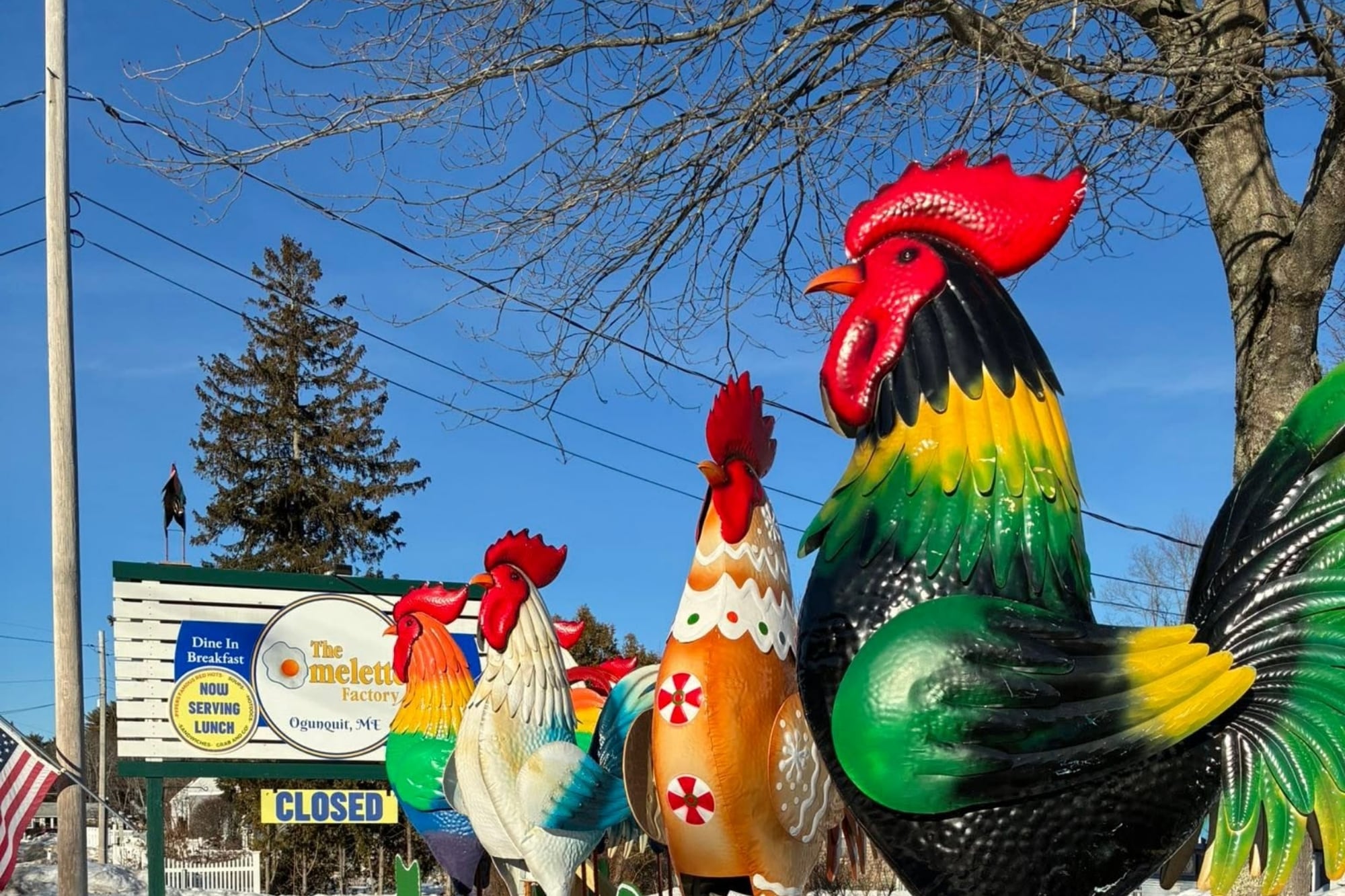 Las autoridades de la ciudad consideraron que los gallos representaban publicidad no autorizada para el restaurante