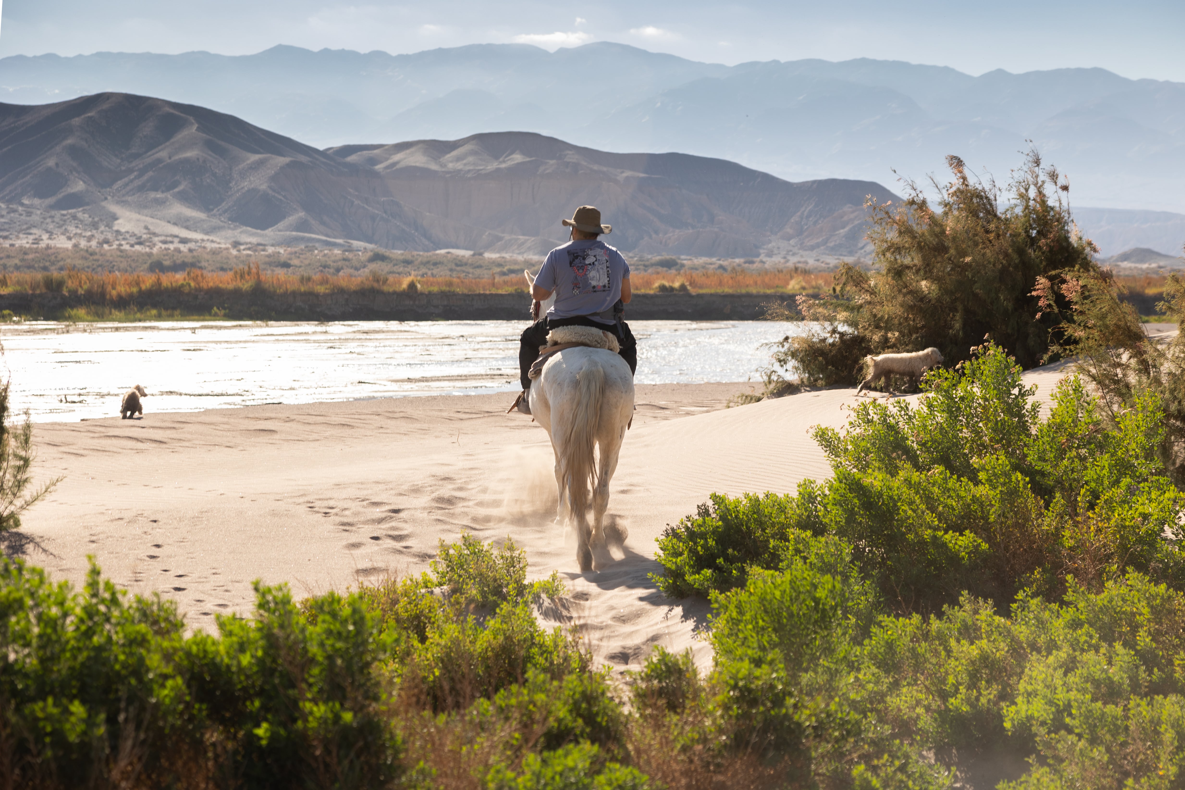 Roberto Resta está al frente de las cabalgatas de Arrieros Somos en las cercanías del lago.