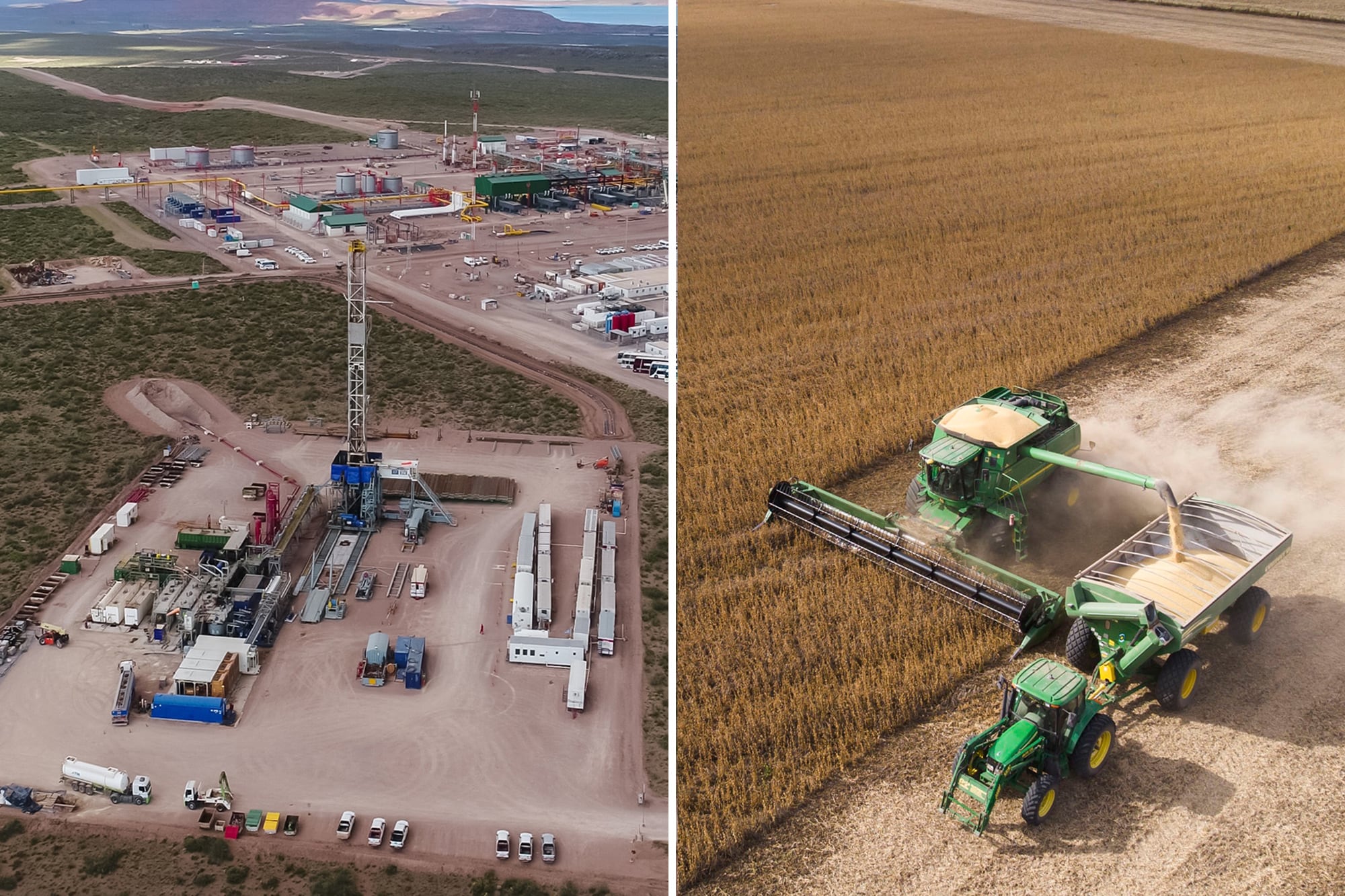 Vaca muerta soja