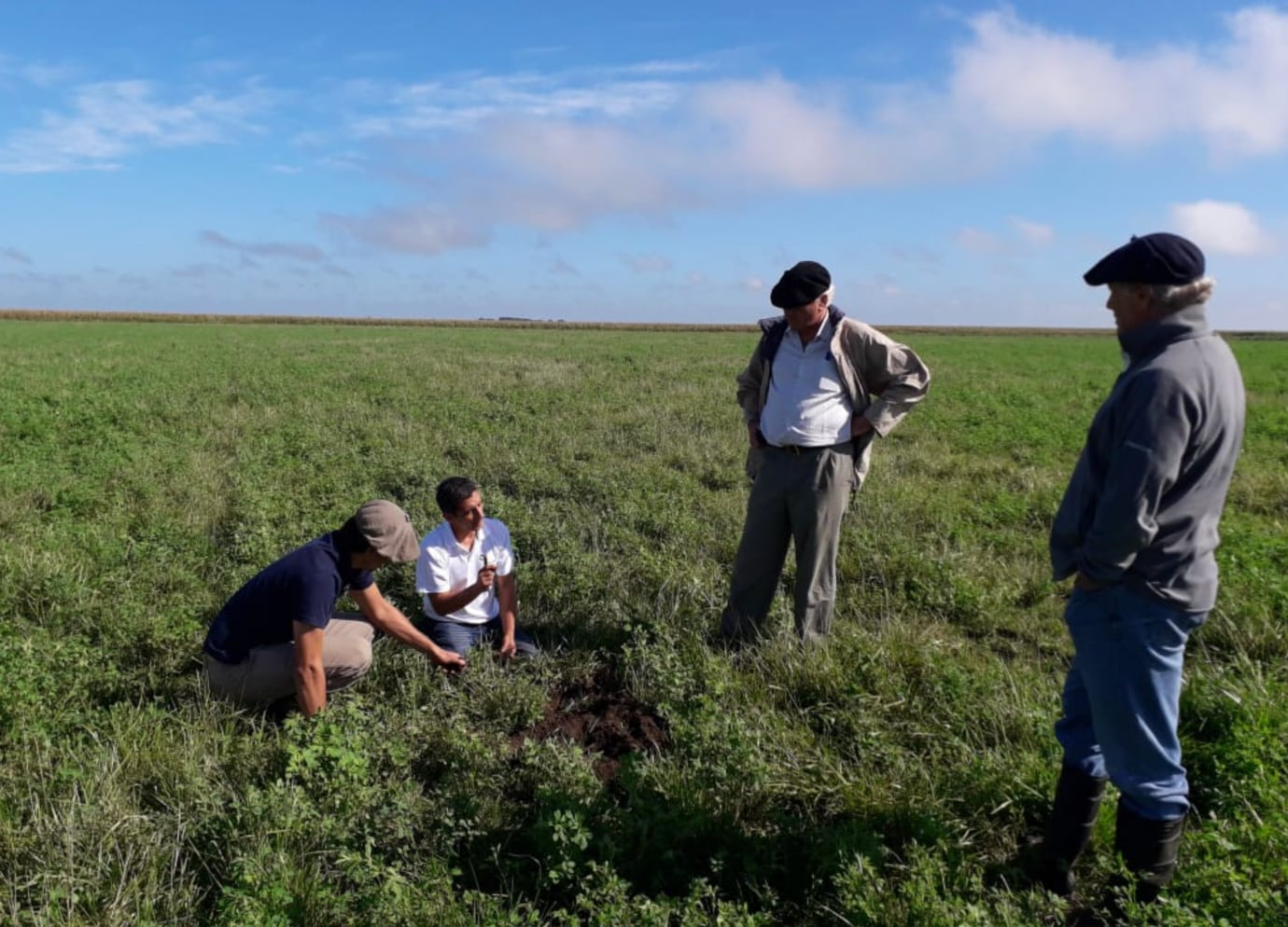 En 25 de Mayo trabajan unas 12.000 hectáreas y combinan agricultura y ganadería de cría; producen maíz, trigo, soja, girasol y arveja, comenzaron con camelina y también incorporaron cultivos de cobertura