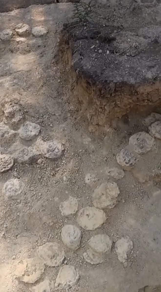 Yacimiento donde se hallaron los fósiles de los huevos de Titanosaurus