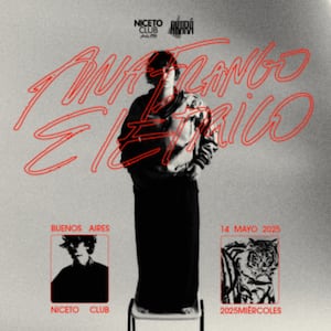 Ana Frango Elétrico