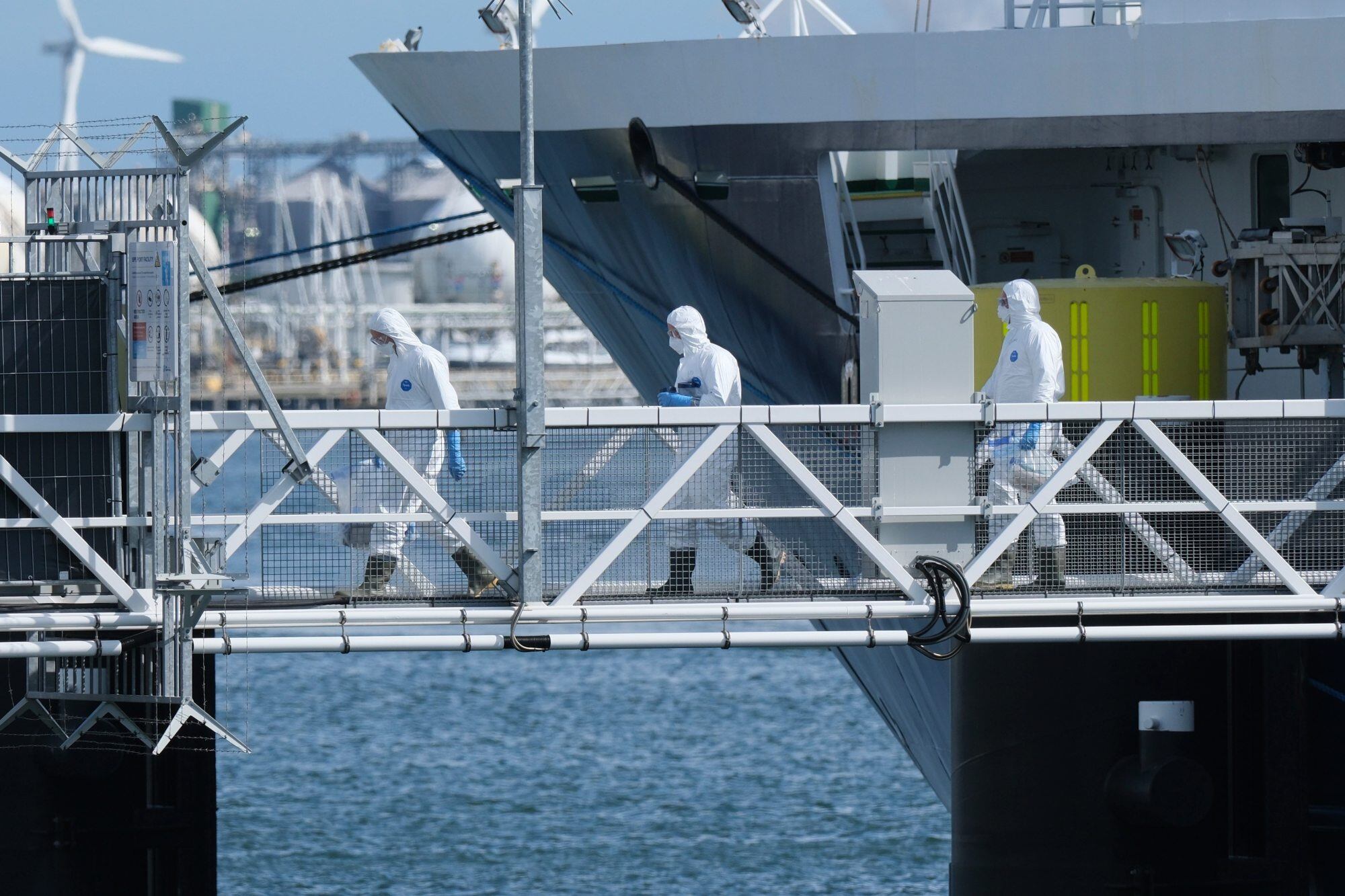 Hantavirus: a 18 días del desembarco, los casos siguen subiendo entre las personas que viajaron en el crucero MV Hondius