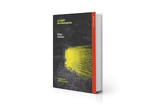 La región de la desemejanza, de Rivka Galchen