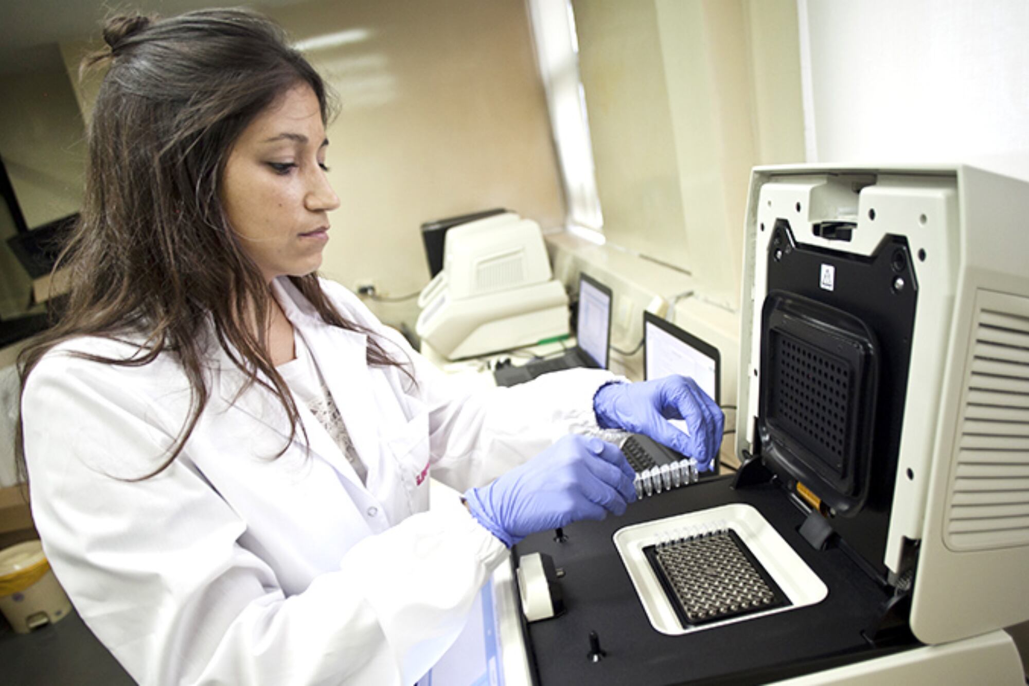 El Inase es la autoridad de aplicación de la ley de semillas, realiza tareas de fiscalización, registro y control en la materia