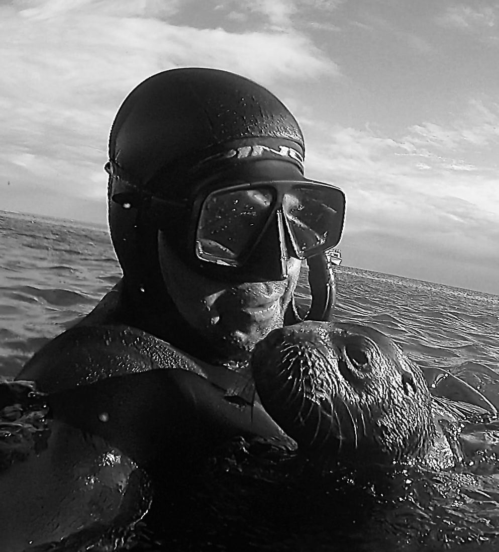 “La distancia entre los buzos y los animales es la que ellos proponen”, indica Natale