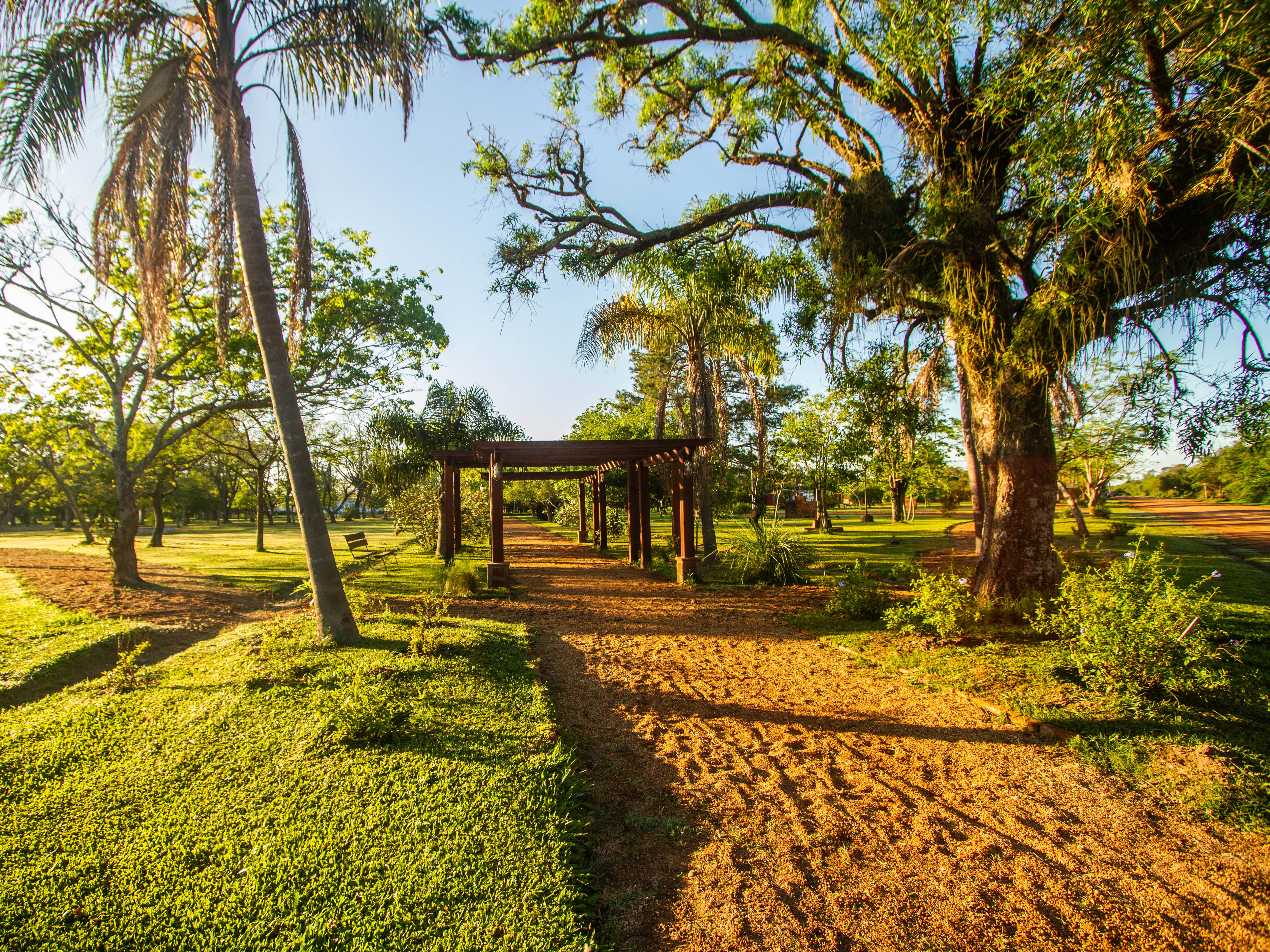 La plaza principal actualmente está siendo remodelada, incorporando más senderos, materas, áreas de descanso y vegetación para atraer a nuestra variedad de aves, mariposas, picaflores e insectos.